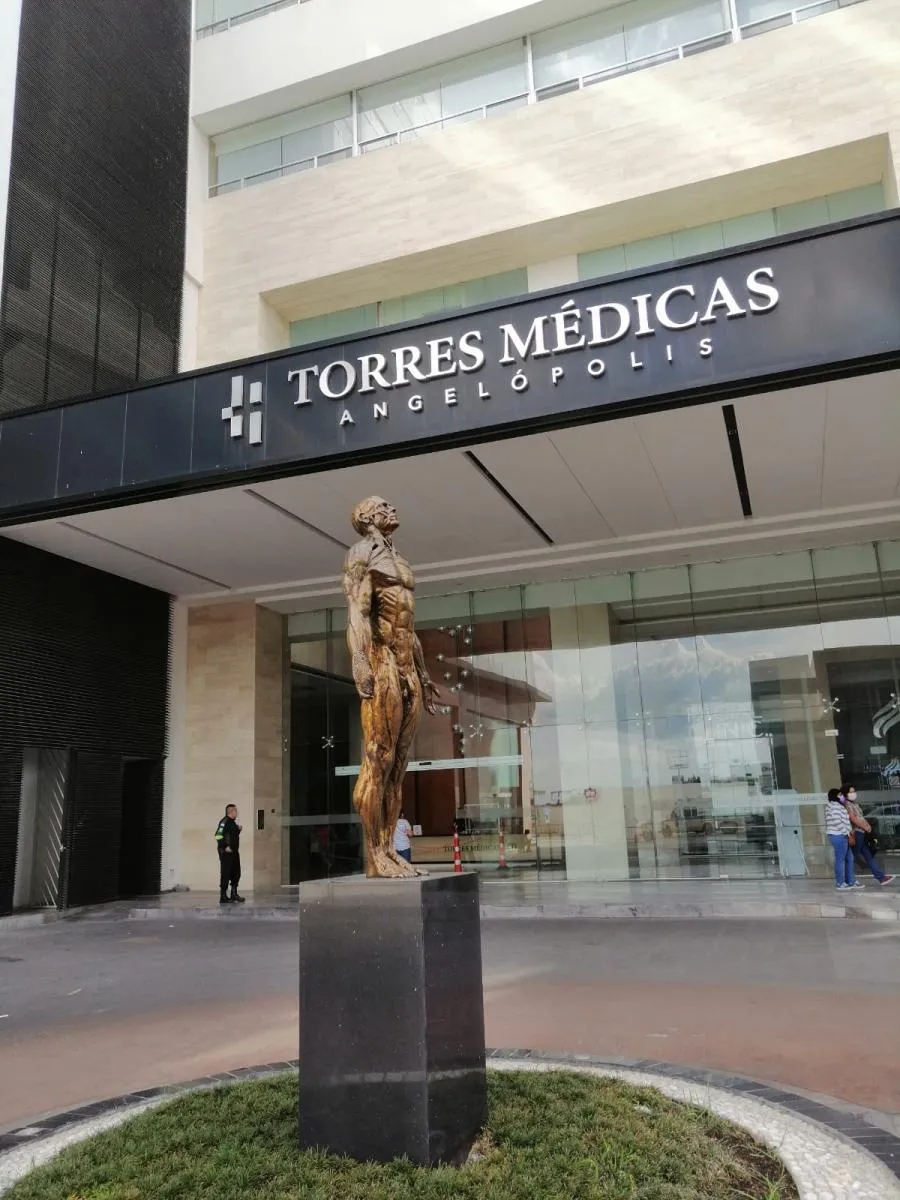 Área de atención médica